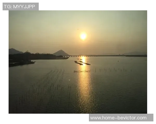 齐尔克泽:经历一年无进球后终于收获回报的耐心与努力 齐尔克泽:经历一年无进球后终于收获回报的耐心与努力